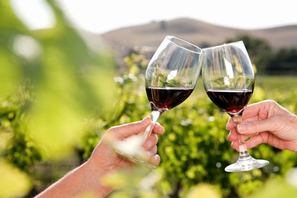 tour-3-vinedos-1-dia-viajbonito-mx